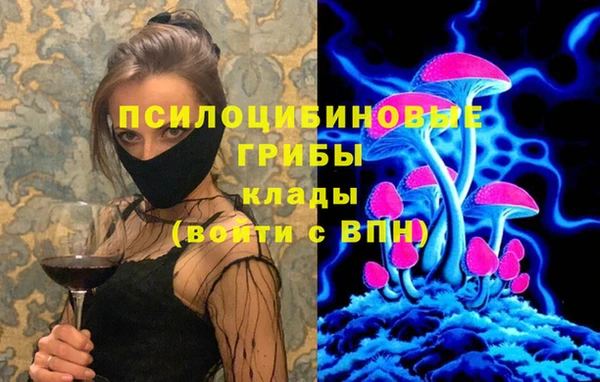 ешки Бронницы